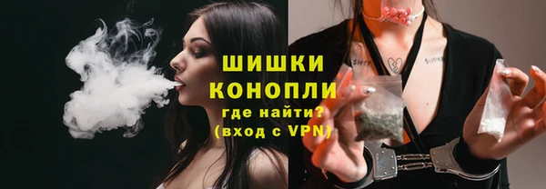 сатива Заволжье