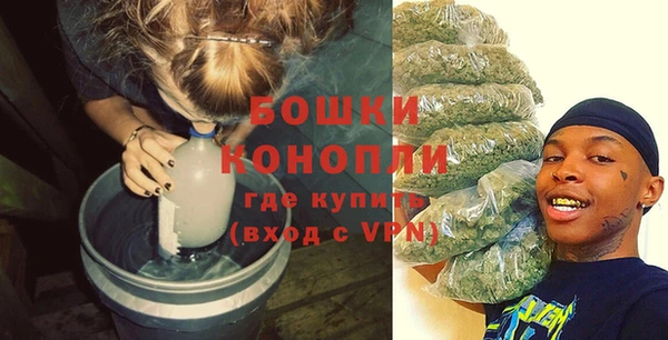 сатива Заволжье
