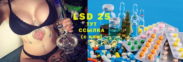 сатива Заволжье