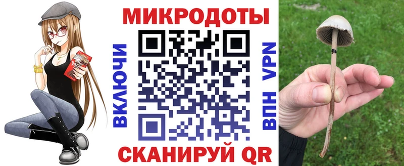 Галлюциногенные грибы мухоморы  Купить где  Каменка 